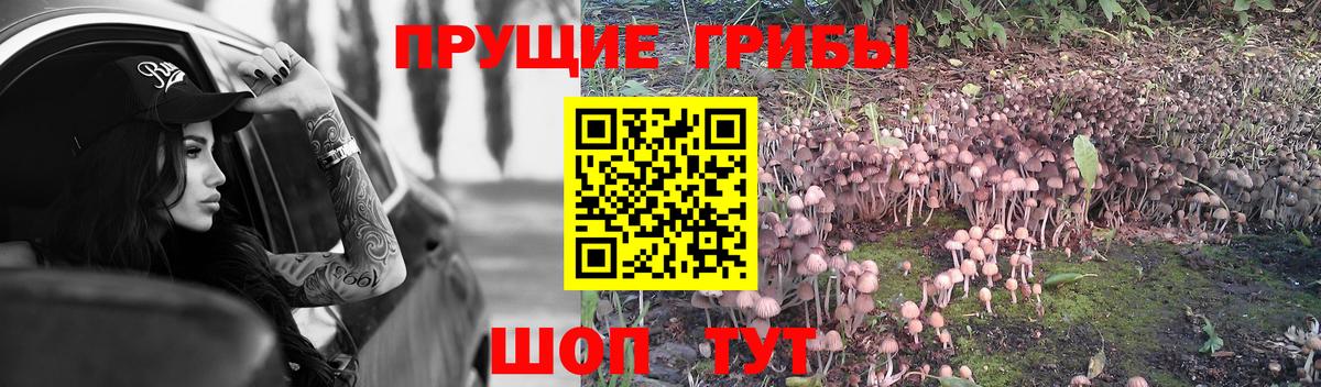 Галлюциногенные грибы мицелий  Вход с VPN  Галлюциногенные грибы мухоморы  Зерноград 